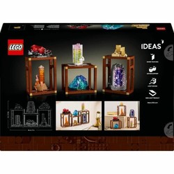 Lego construcción adultos Set Mineral 21362 2