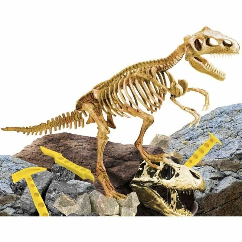 Kit de paleontología infantil para descubrir fósiles