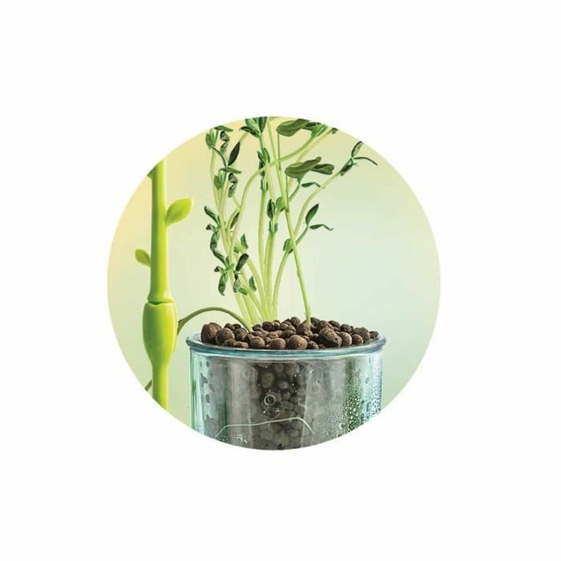 Kit de botánica infantil Clementoni: Observa el crecimiento de plantas