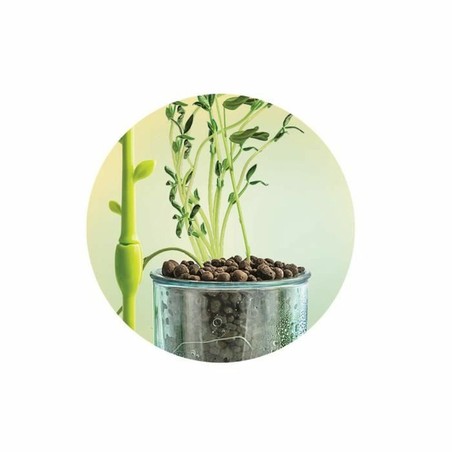 Kit de botánica infantil Clementoni: Observa el crecimiento de plantas