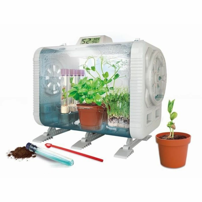 juego ciencia botánica para aprender sobre el crecimiento