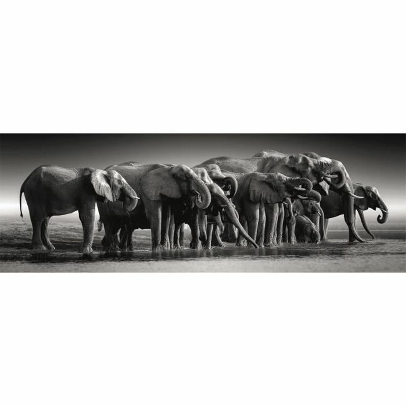 Juego de mesa adultos: Disfruta de la concentración con este puzzle