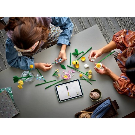 Componentes del set LEGO 10347 para niños