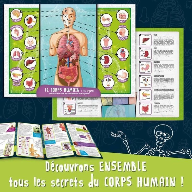 Set construcción educativo: Experimentando con Lisciani Giochi