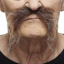 Bigote disfraz marrón adhesivo para niños