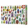 Puzzle 500 Piezas Educa Beetles, imagen principal con escarabajos coloridos