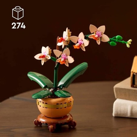 Construcción creativa para mayores de 18, regalo original para adultos
