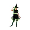 Disfraz para Niños Verde Bruja completo con sombrero