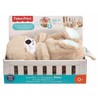 Carrusel cuna bebé Fisher Price Nutria FXC66