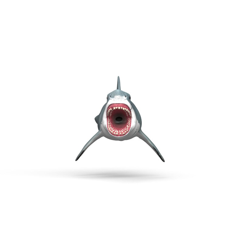 Coleccionable Megalodon, fomenta el aprendizaje