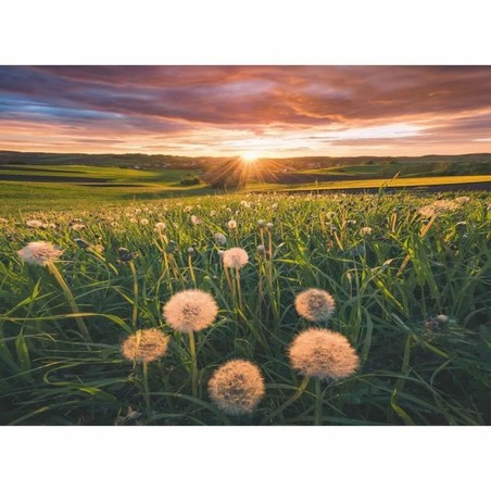 Caja del Puzzle Ravensburger Dandelions – Ideal para regalo