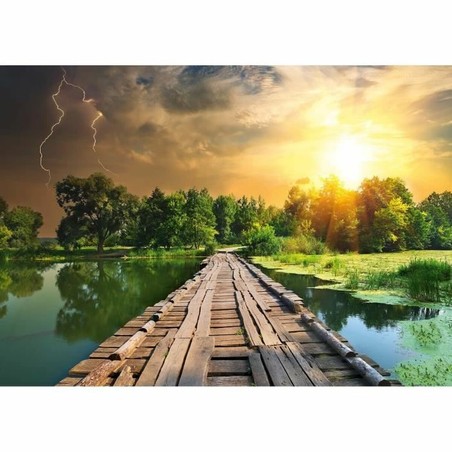 Regalo puzzle 1000 piezas Ravensburger