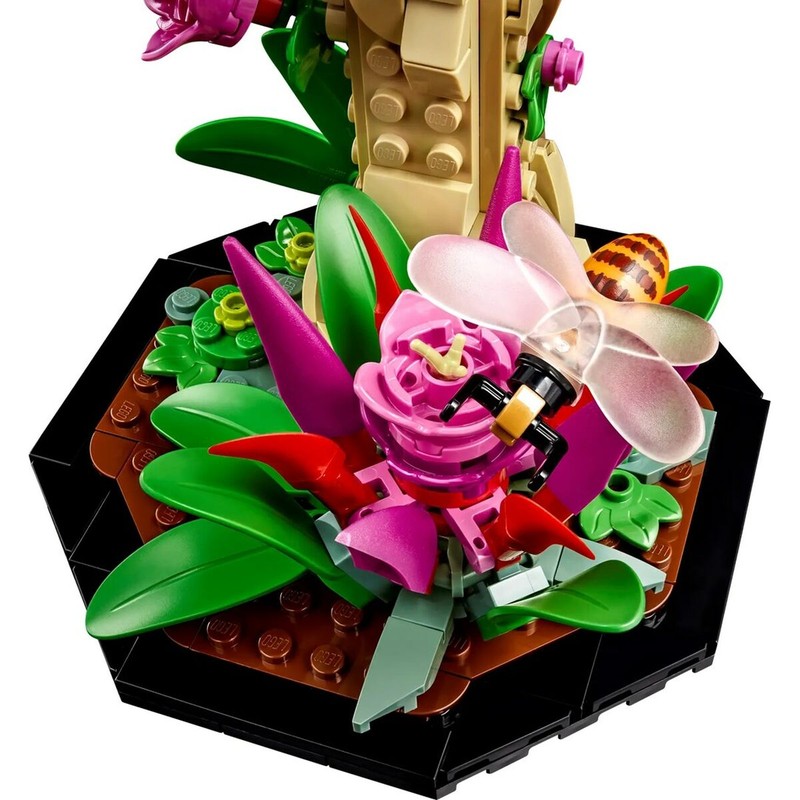 Escarabajo Hércules LEGO para coleccionistas adultos