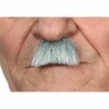Bigote Blanco Disfraz My Other Me para Adultos - Compra online en MegaJuguetes