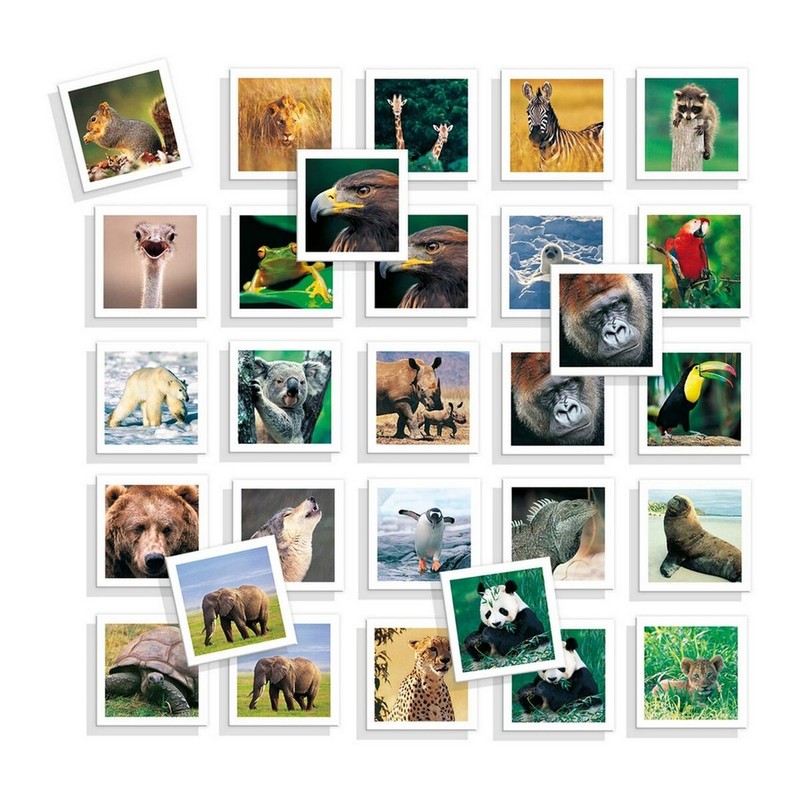 Juegos de Mesa Niños Diset Memo Photo Animales - Educativo