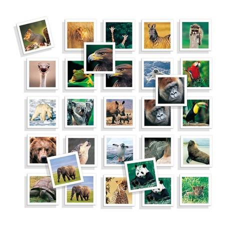 Juegos de Mesa Niños Diset Memo Photo Animales - Educativo