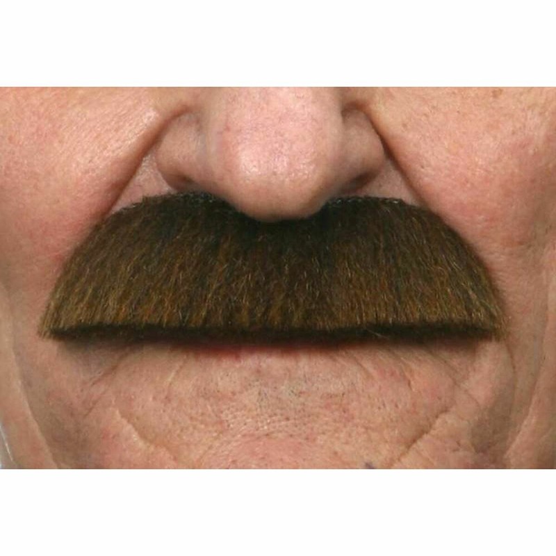 Bigote Disfraz My Other Me Marrón - Talla S - Compra online en MegaJuguetes
