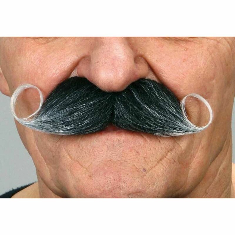 Disfraces Niños: Bigote My Other Me Gris - Compra online en MegaJuguetes