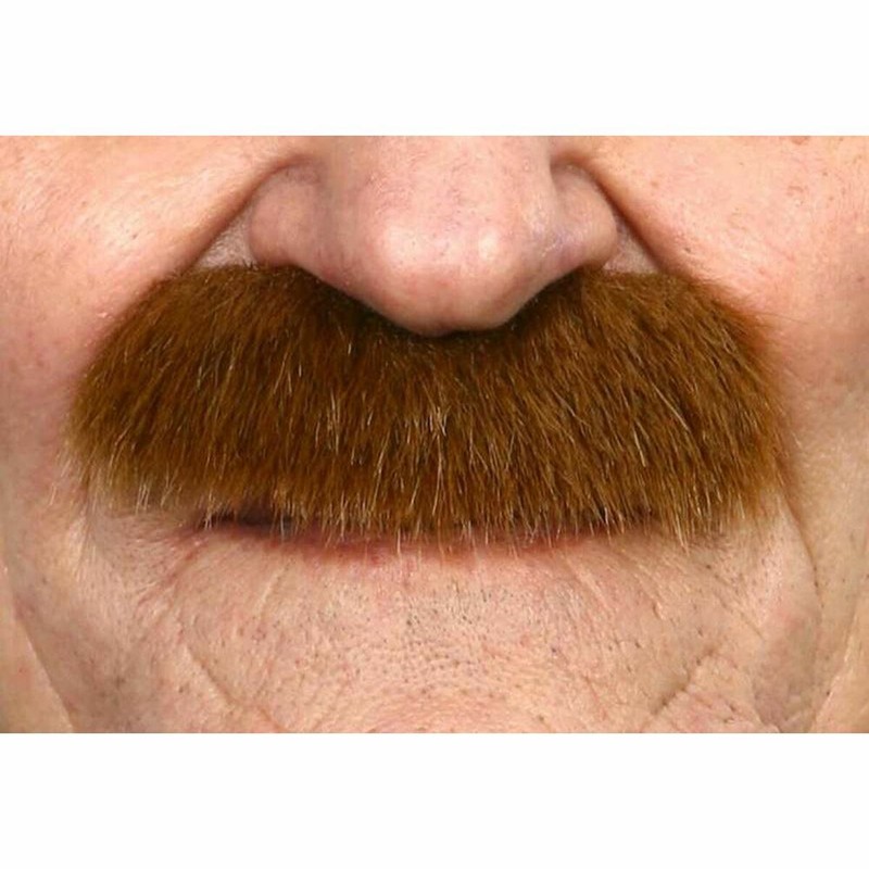 Disfraces Niños: Bigote My Other Me Rubio - Compra online en MegaJuguetes