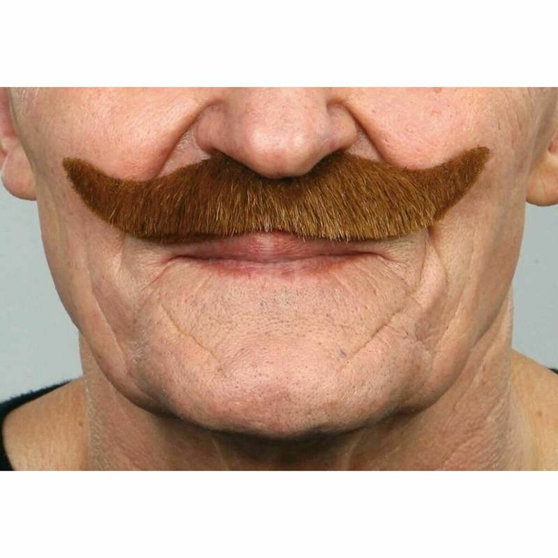 Disfraces Niños: Bigote Castaño My Other Me Adulto - Compra online en MegaJuguetes