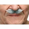 Bigote Disfraz Adulto My Other Me Gris Blanco - Compra online en MegaJuguetes