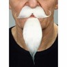 Disfraces Niños: Barba Postiza Blanca My Other Me Adulto - Compra online en MegaJuguetes