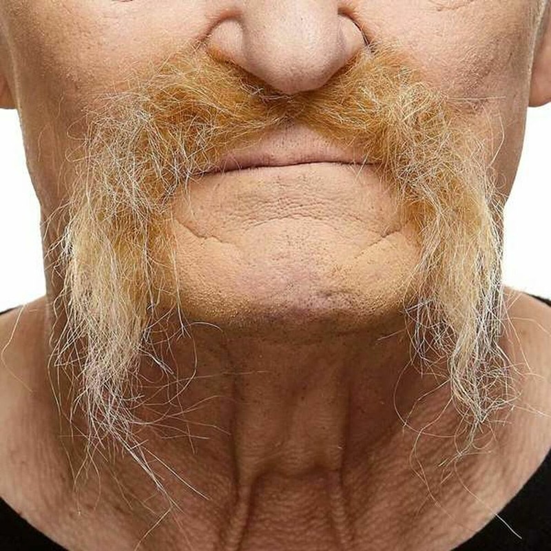 Bigote Rubio para Disfraz Adulto My Other Me - Compra online en MegaJuguetes