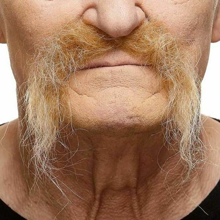 Bigote Rubio para Disfraz Adulto My Other Me - Compra online en MegaJuguetes