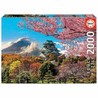Puzzle Infantil Educa 2000 piezas Castillo Osaka - Compra online en MegaJuguetes
