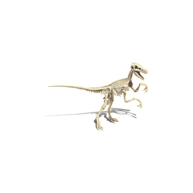 Juguetes Ciencia Niños Clementoni: Kit Arqueología Velociraptor