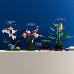 Figuras Acción Niños LEGO ICONS Orquídea 10311 - Set de Construcción - Compra online en MegaJuguetes 2