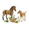Figuras Acción Niños: Caballos Schleich 42432 Plástico - Compra online en MegaJuguetes