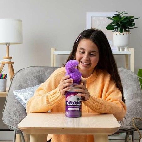Peluches Niños Bizak Mimimiau Gato Suave 24 cm