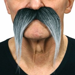 Disfraces Niños: Bigote Gris My Other Me Talla Única - Compra online en MegaJuguetes