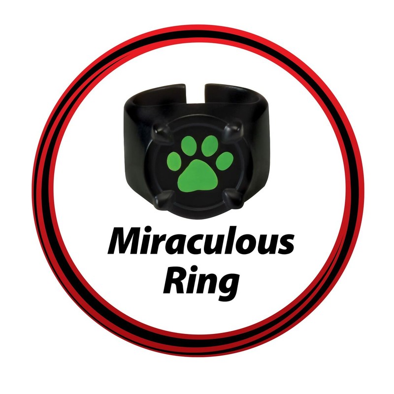 Disfraz Niños Cat Noir Miraculous Set Transformación
