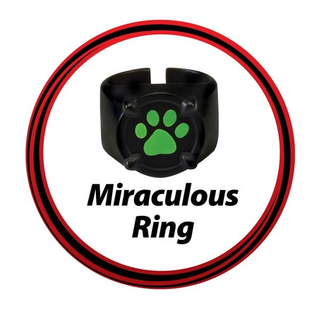 Disfraz Niños Cat Noir Miraculous Set Transformación