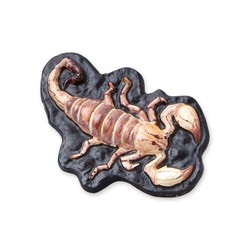 Manualidades Niños: Pasta de Modelar SES Creative Scary Animals - Compra online en MegaJuguetes 2