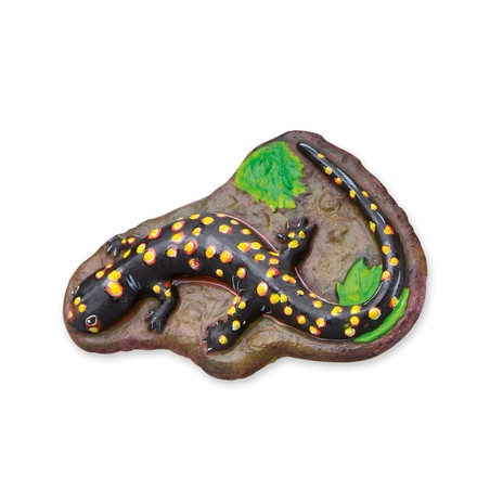 Manualidades Niños: Pasta de Modelar SES Creative Scary Animals
