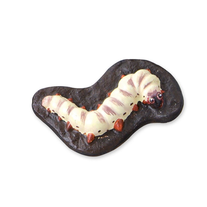 Manualidades Niños: Pasta de Modelar SES Creative Scary Animals