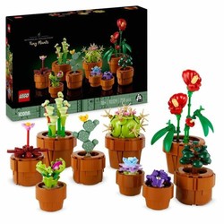 Figuras Acción Niños Playset Lego Botanical Collection Tiny Plants - Compra online en MegaJuguetes