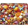 puzzle 1000 piezas conchas marinas educa