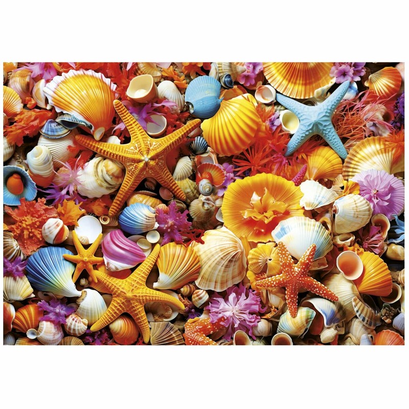 puzzle collage conchas calidad educa