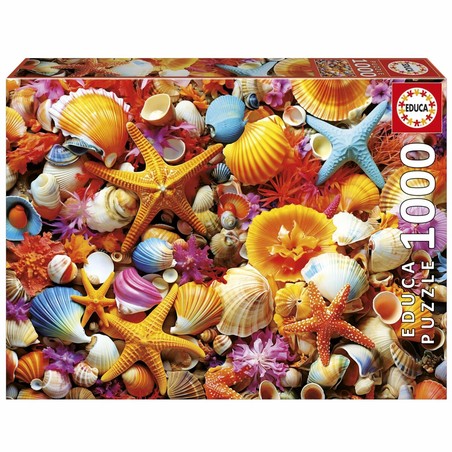 detalles puzzle conchas oceano