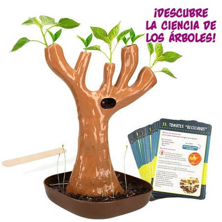 Juguetes Ciencia Niños Lisciani Giochi - Kit Botánica