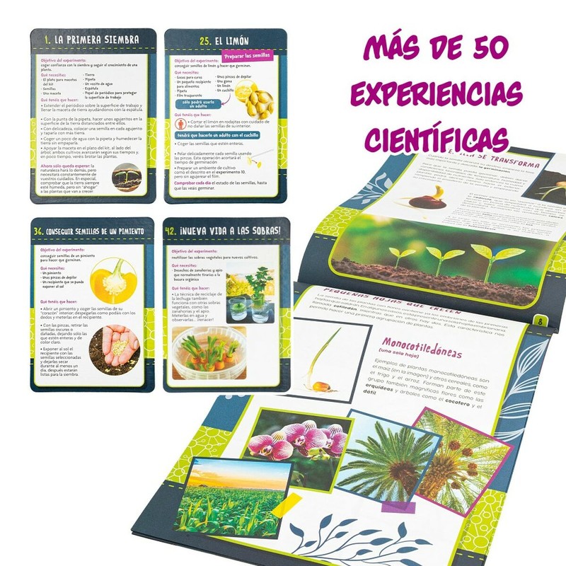 Juguetes Ciencia Niños Lisciani Giochi - Kit Botánica