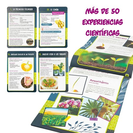 Juguetes Ciencia Niños Lisciani Giochi - Kit Botánica