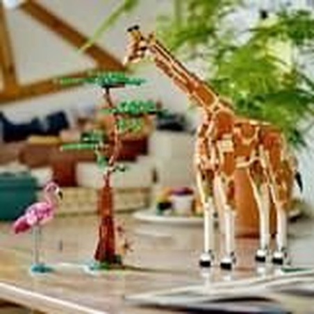 Figuras Acción Niños LEGO Creator 31150 Safari Animales