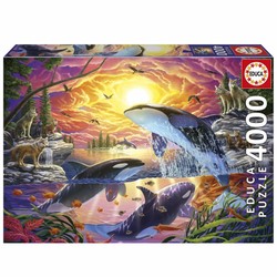 Caja del Puzzle 4000 Piezas Educa Orcas y Lobos, ideal para un reto