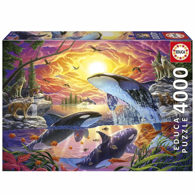Caja del Puzzle 4000 Piezas Educa Orcas y Lobos, ideal para un reto