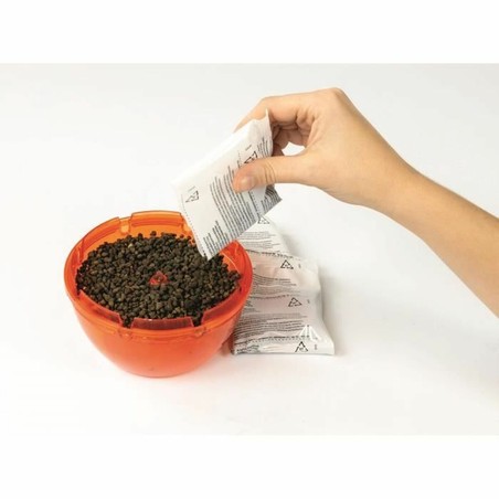 Interior del kit de terrario con semillas y herramientas